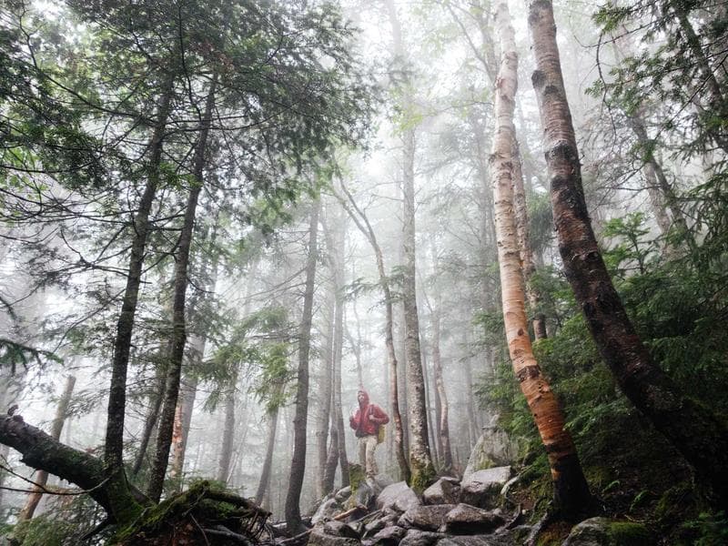 Expert Quality Outputs Diagram